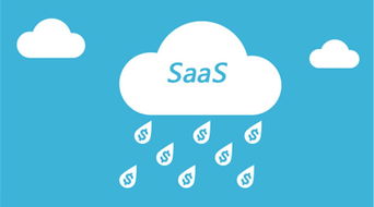 網(wǎng)絡(luò)游戲軟件技術(shù)研發(fā)的現(xiàn)狀與轉(zhuǎn)型 從傳統(tǒng)ERP到ServiceHot SaaS的演進(jìn)